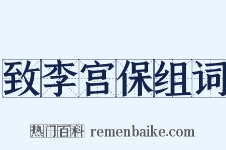 致李宫保组词是什么意思的图片